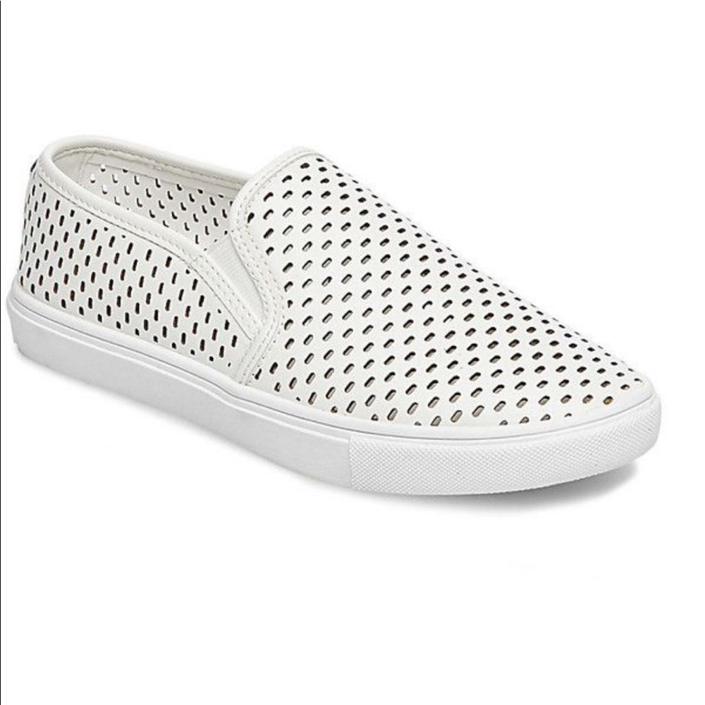 [STEVE MADDEN] Elouise sneaker . Size 8